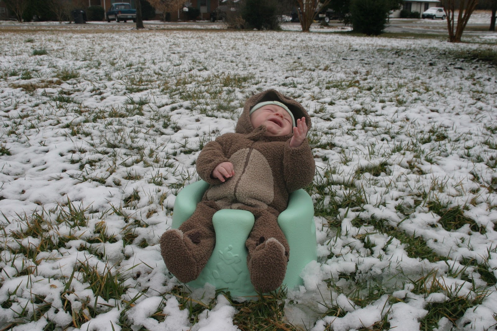 [SnowDay092.jpg]