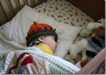 IMG_2840 IMG_2840