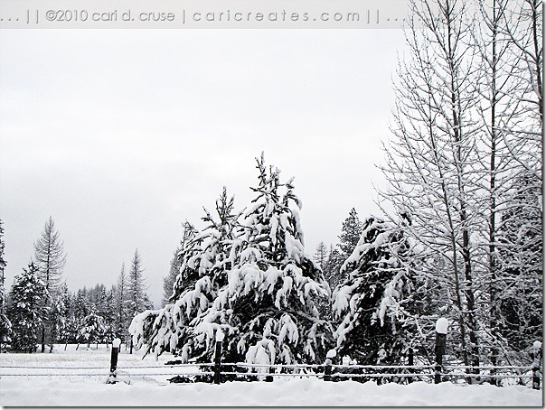 Winter Wonderland on Moose Trail Acres