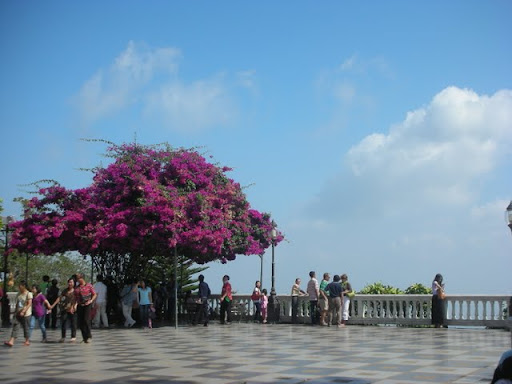 DSCN4357.JPG
