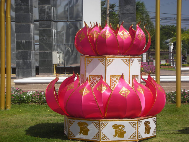 DSCN4742.JPG
