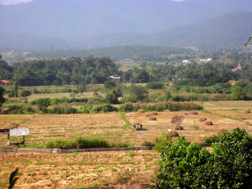 DSCN4491.JPG