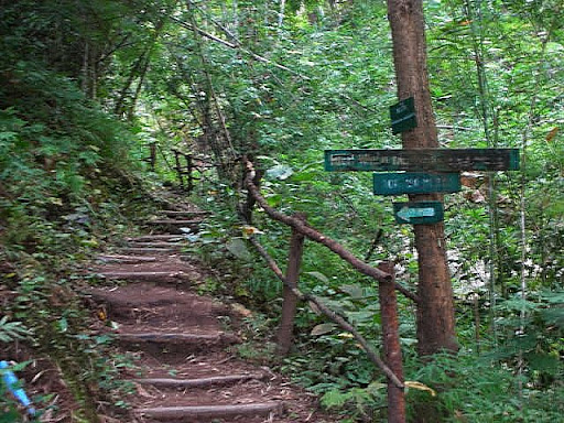 DSCN4528.JPG