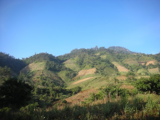 DSCN4554.JPG