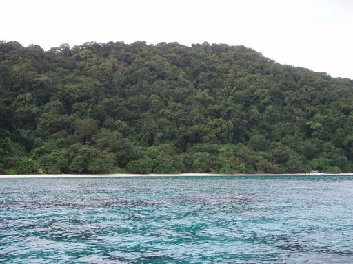 P1010183.JPG