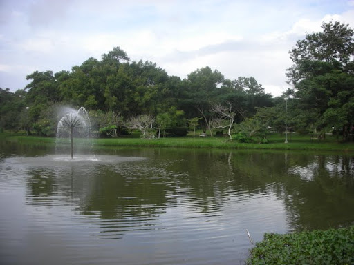 DSCN4976.JPG
