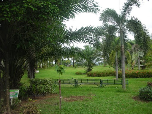 DSCN4993.JPG