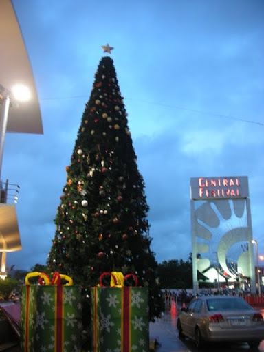 DSCN5072.JPG