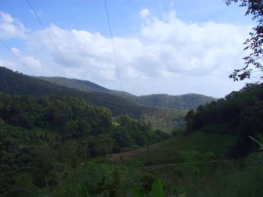 P1010009.JPG