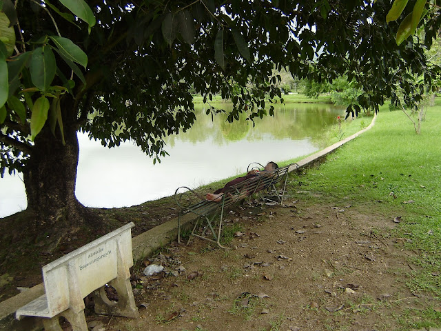PA230257.JPG