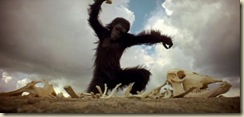 HOMO SAPIENS DESCUBRIENDO LO INTELIGENTÍSIMO QUE SE HA VUELTO...