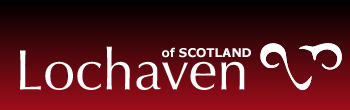 [main-logo[3].png]