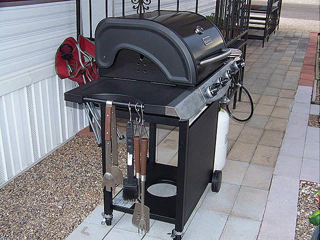 [New barbecue 9-5-2009 6-24-16 PM[8].jpg]