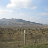 IMG_0172.JPG