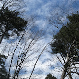 IMG_0257.JPG