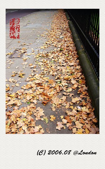 photo1