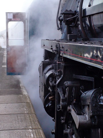 [train[4].jpg]
