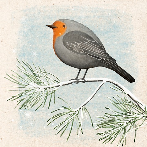 [The Winter robin.jpg]