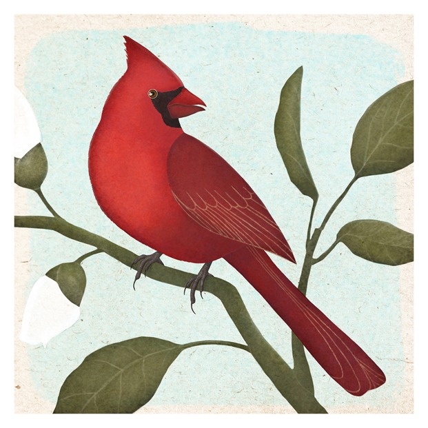 an american cardinal