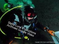 Barbara Lloyd's Archived Undersea Videos