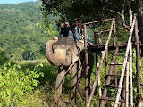 P1000105.JPG