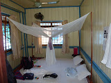 P1000557.JPG