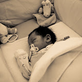 IMGP0210-1.jpg