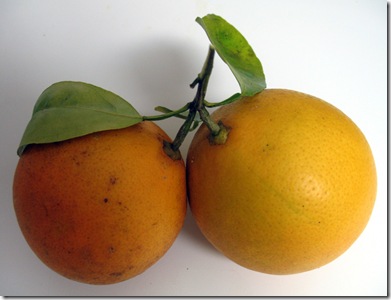 2-4 Fresh oranges