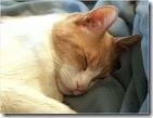 sleep well