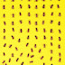 bees.jpg