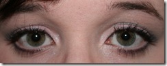 ELF Silver Lining Eye Look (2)