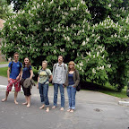 Kasztanowiec.jpg