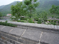 P1010377.JPG