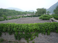 P1010379.JPG
