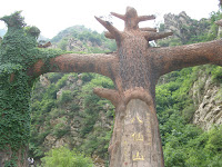 SNV14442.JPG
