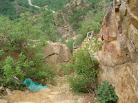 SNV14453.JPG