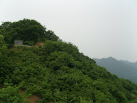 SNV14476.JPG