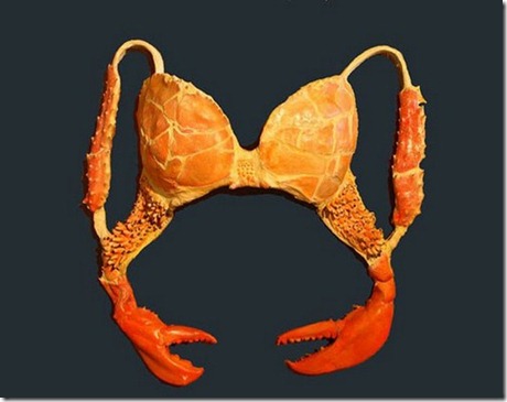 Non-standard-bras-004