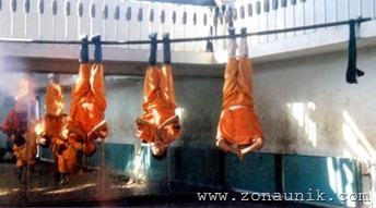 amazingcoolawesomeincredibleShaolinKungFuChinesemartialartsskillphotos3