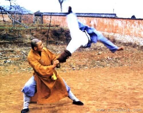 [amazingcoolawesomeincredibleShaolinKungFuChinesemartialartsskillphotos7[3].jpg]