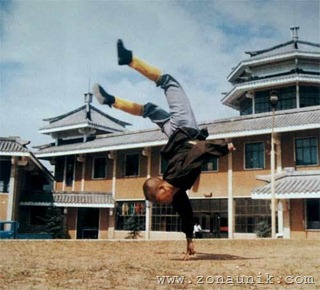 amazingcoolawesomeincredibleShaolinKungFuChinesemartialartsskillphotos9