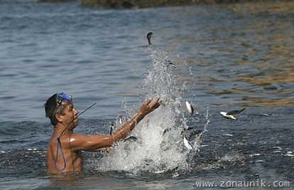 Ikan terdampar (2)