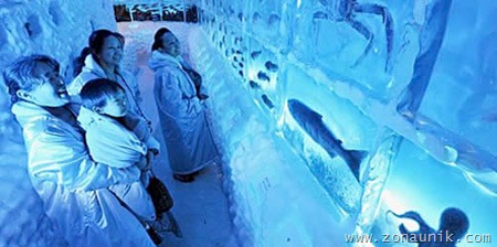 [iceaqua01[2].jpg]