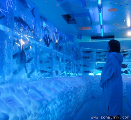 [iceaqua02[2].jpg]