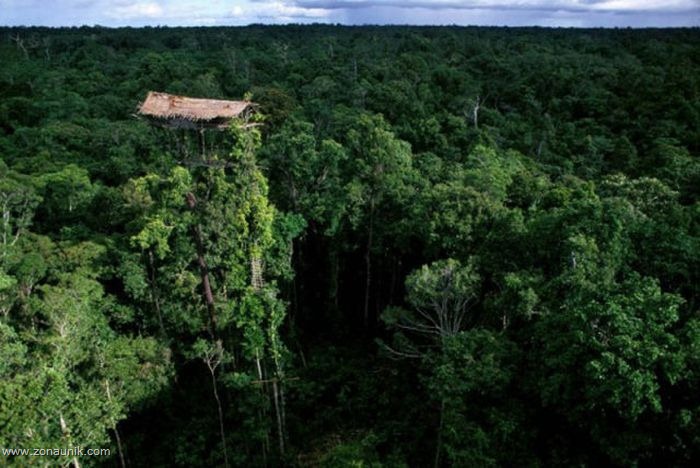 [Rumah pohon (4)[2].jpg]