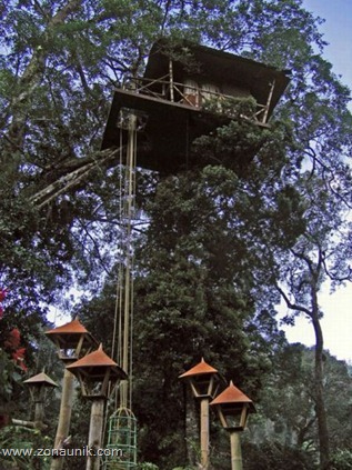 Rumah pohon (6) Rumah pohon (6)