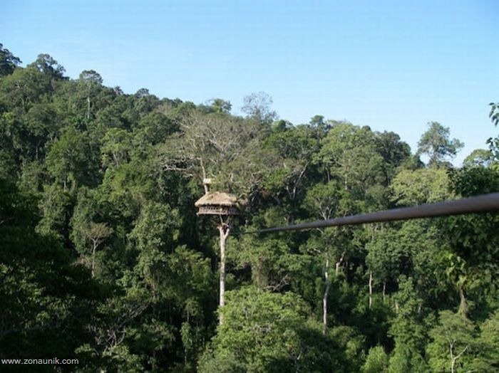 [Rumah pohon (10)[2].jpg]