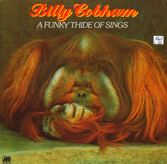 Greatest JazzFunk albums of all time...your picks? CDs and LPs