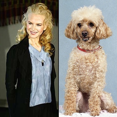 nicole_kidman_102708