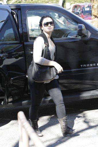 Demi Lovato gorda